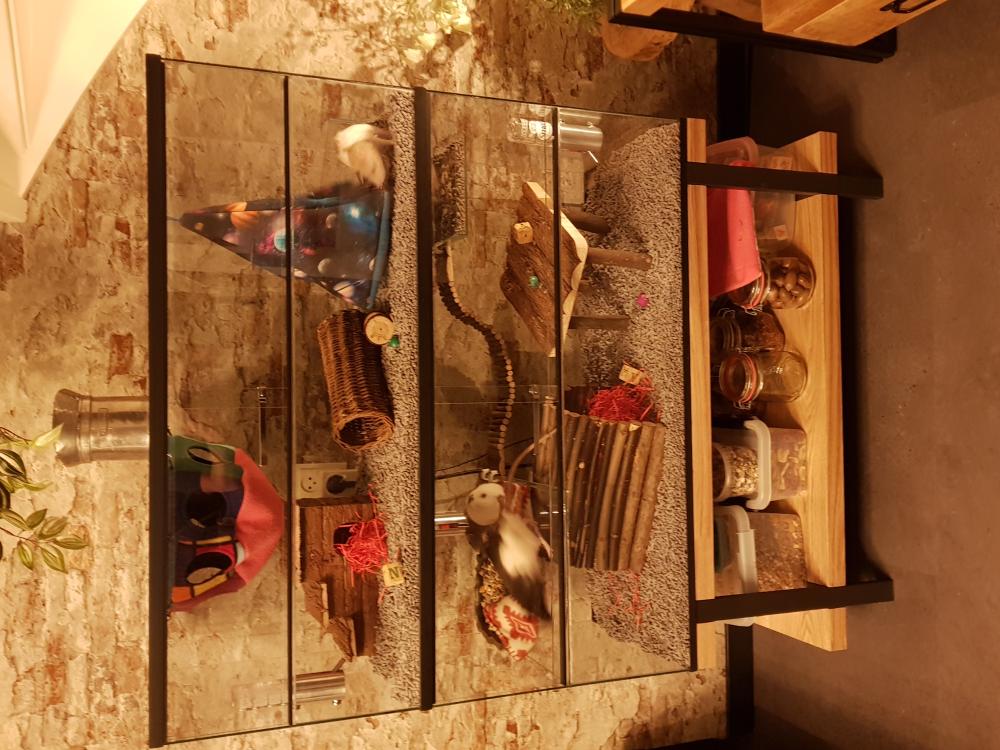 Opzetstuk Gerbilarium 100x40