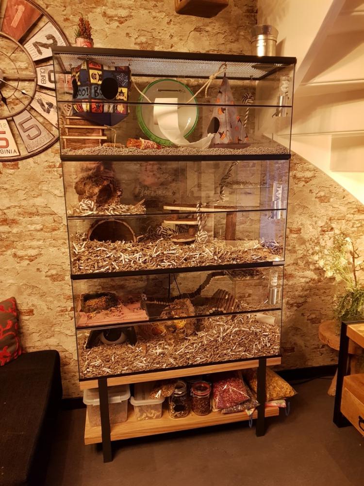 Opzetstuk met schuifruiten en plateaus