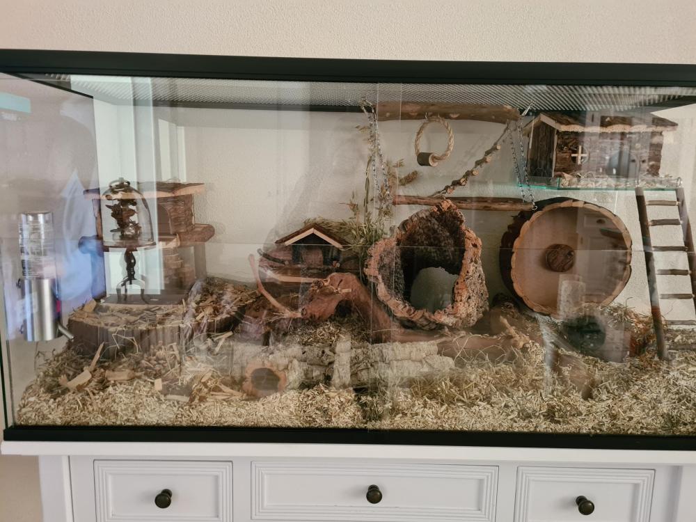 Hamster terrarium met vast voorschot en schuifruit van bodem tot deksel - zonder plateaus