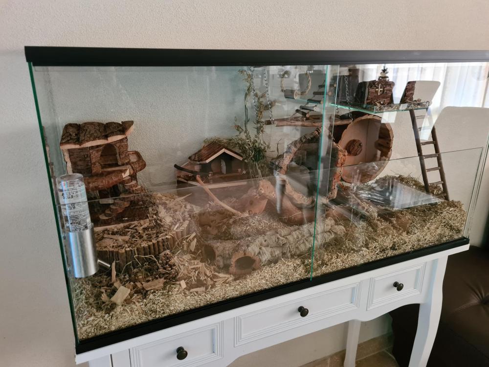 Terrarium voor hamster met schuifruiten zonder plateaus - vast voorschot