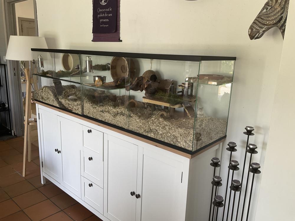 Gerbilarium met vast voorschot en schuifruit van bodem tot deksel