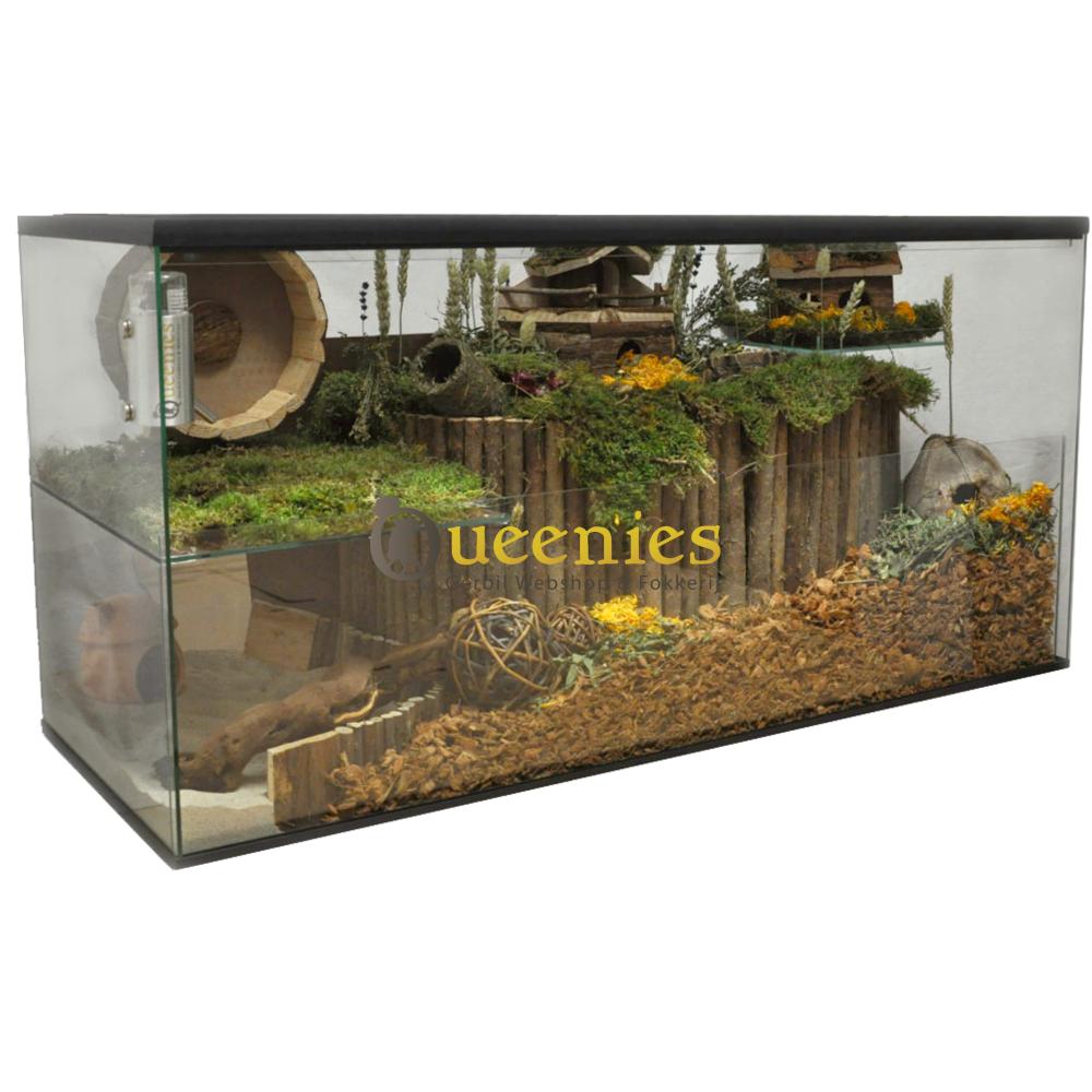 Gerbilarium met vast voorschot en schuifruit van bodem tot deksel