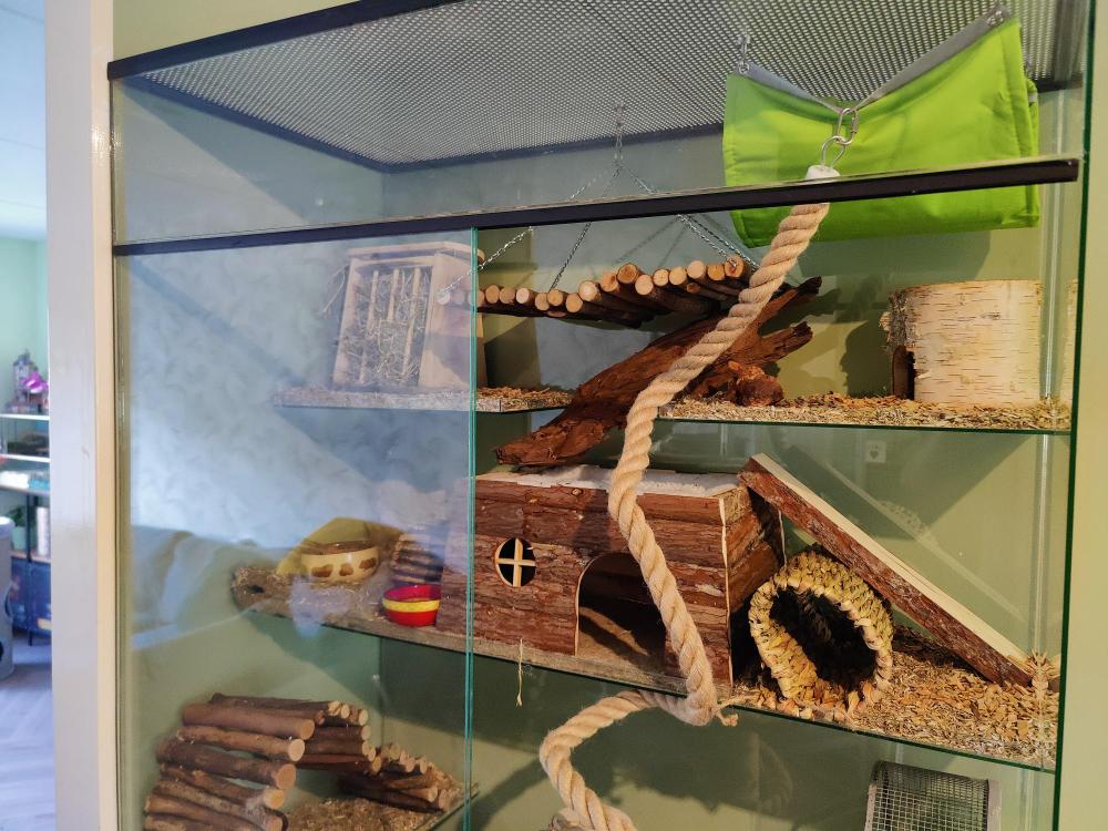 Degoe Terrarium voor knaagdieren