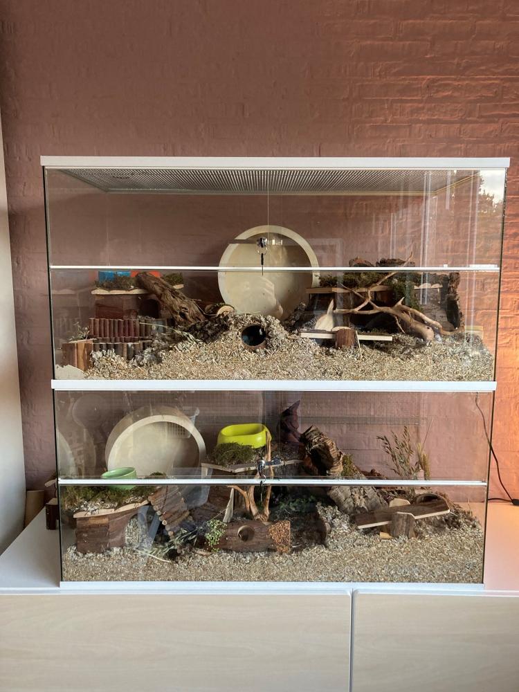 Opzetstuk met schuifruiten en plateaus