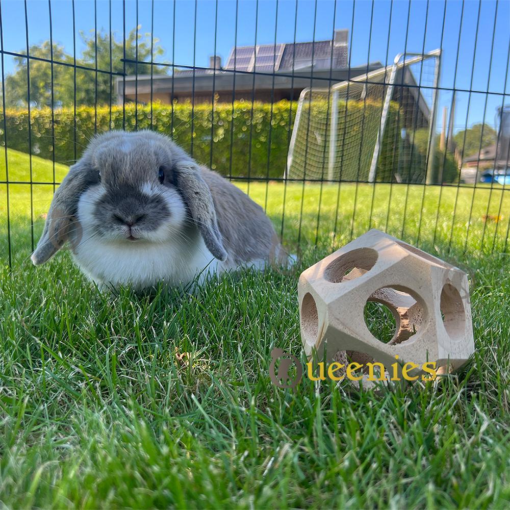 Konijnen Houten Speelbal