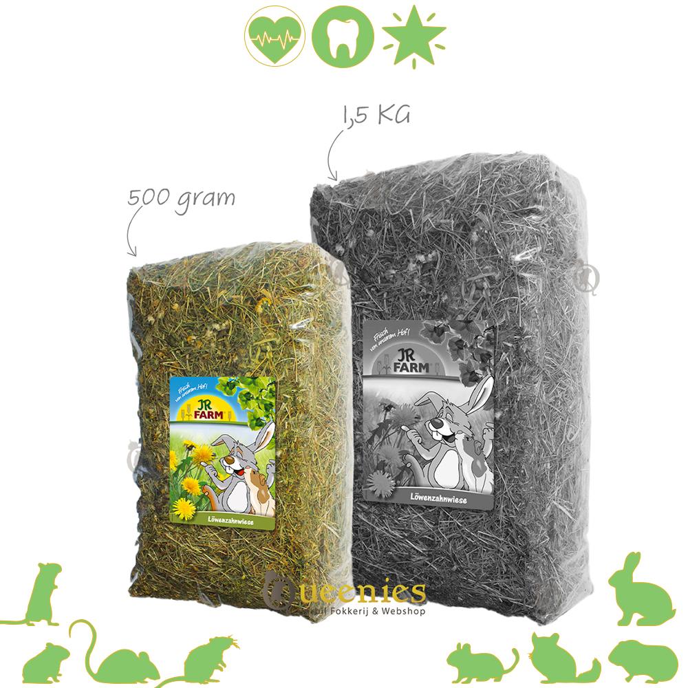 Paardenbloem weidehooi voor Cavia's