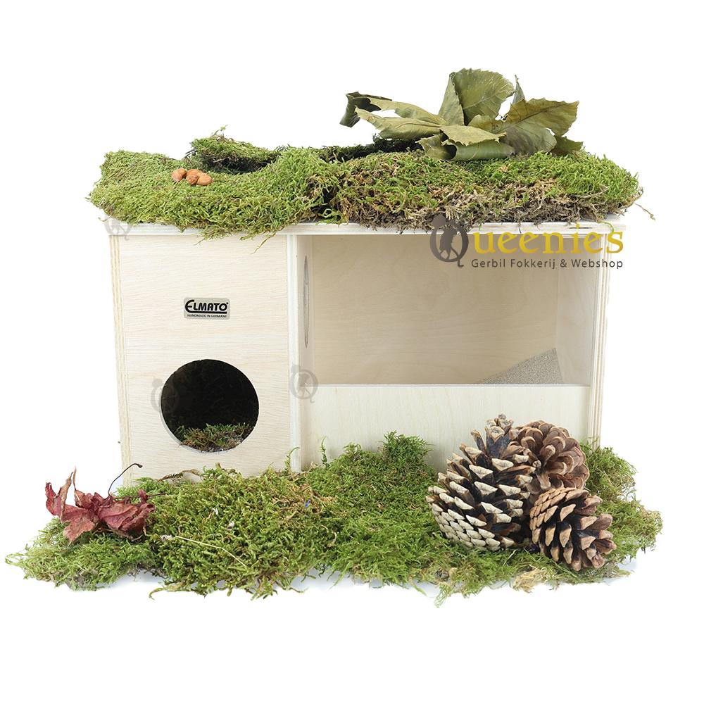 Zandhuis met gedroogd terrarium mos voor Gerbils