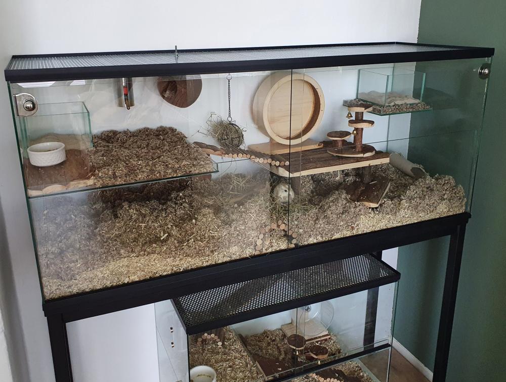 Gerbilarium met vast voorschot en schuifruit van bodem tot deksel