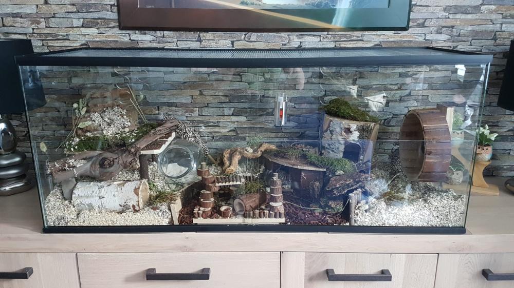 Terrarium voor hamster met schuifruiten zonder plateaus - vast voorschot