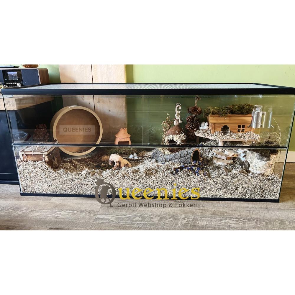 100x50x50 goudhamsterkooi met schuifruiten en goede ventialtie