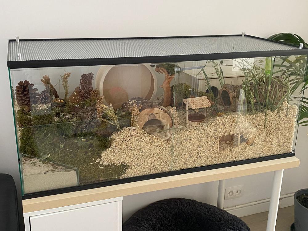 Hamster terrarium met vast voorschot en schuifruit van bodem tot deksel - zonder plateaus