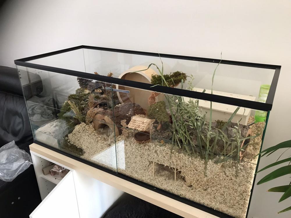 Terrarium voor hamster met schuifruiten zonder plateaus - vast voorschot