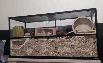 Klanten referentie foto van de 120x50x60 goudhamster terrarium met snelle levering