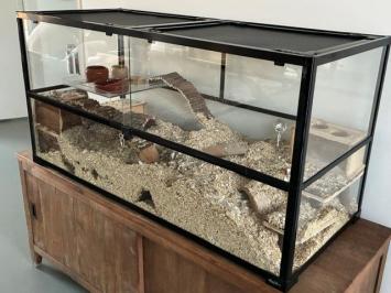 Referentie foto 120x50x60 Gerbil terrarium met plateau