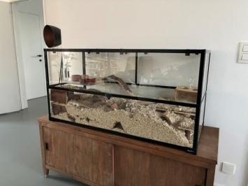 klantenfoto van een 120x50x60 habiTerra terrarium voor gerbils