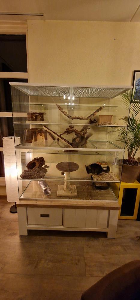 Kooi voor Chinchilla waarbij rommel in de kooi blijft