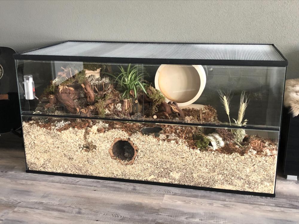 120x60x60 Hamster Terrarium met schuifruiten zonder plateaus