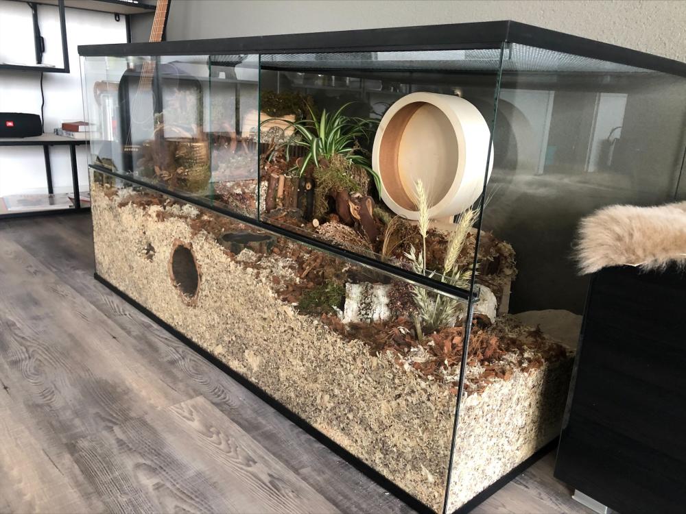 120x60x60 Hamster Terrarium met schuifruiten zonder plateaus