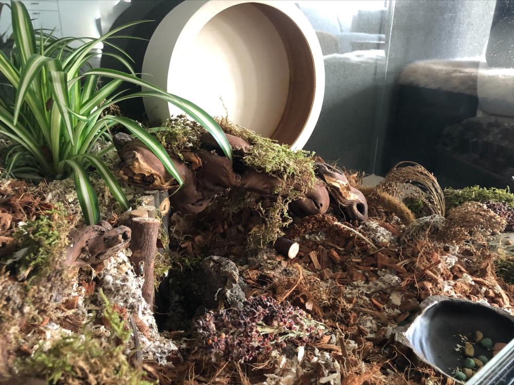 120x60x60 Hamster Terrarium met schuifruiten zonder plateaus