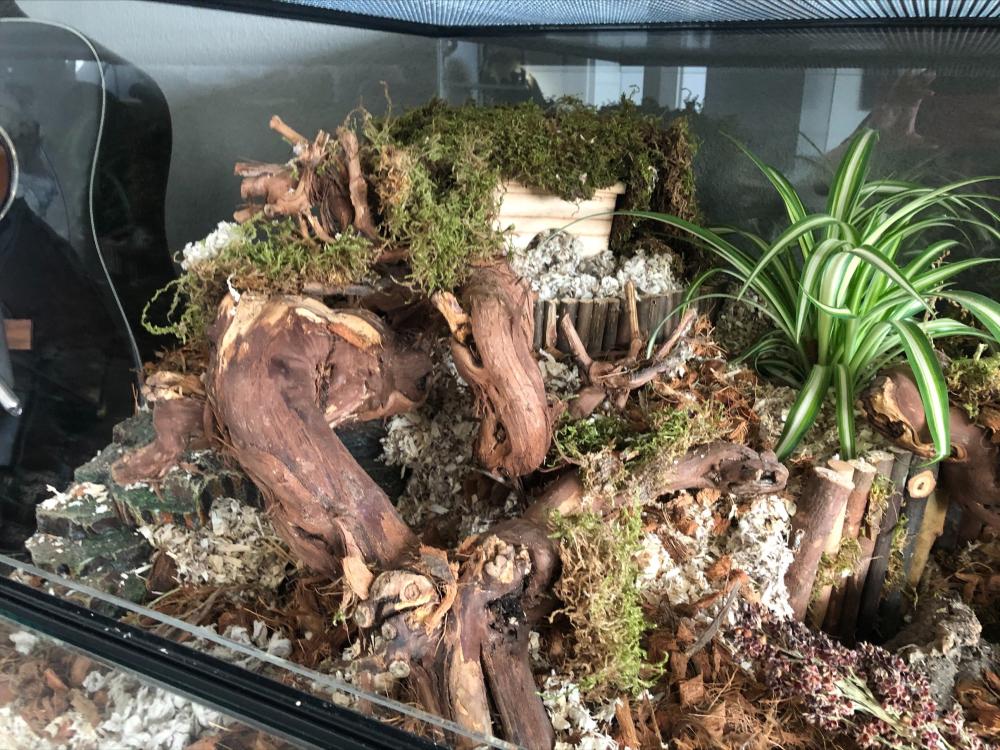 120x60x60 Hamster Terrarium met schuifruiten zonder plateaus