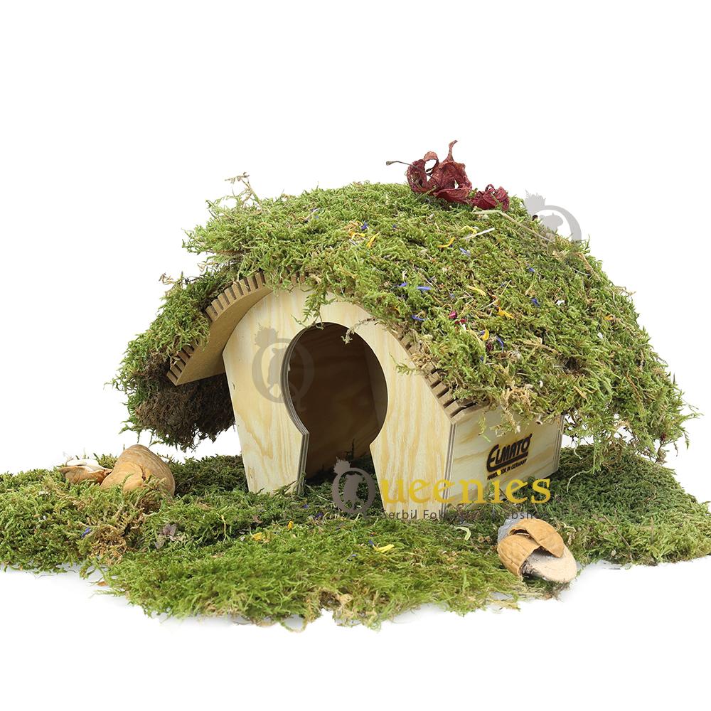 Bosrijk hamsterhuis voor in Hamster Terrarium