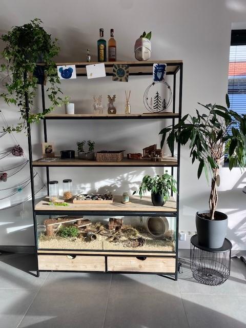 Gebruikte 125x32x45 Hamster terrarium