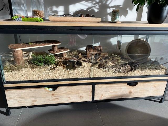 Gebruikte 125x32x45 Hamster terrarium