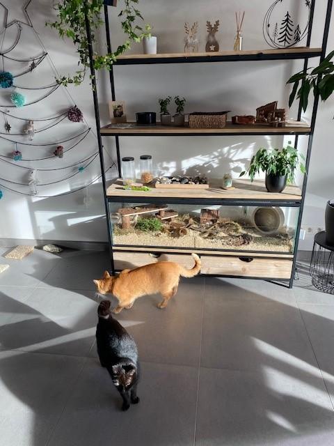 Gebruikte 125x32x45 Hamster terrarium