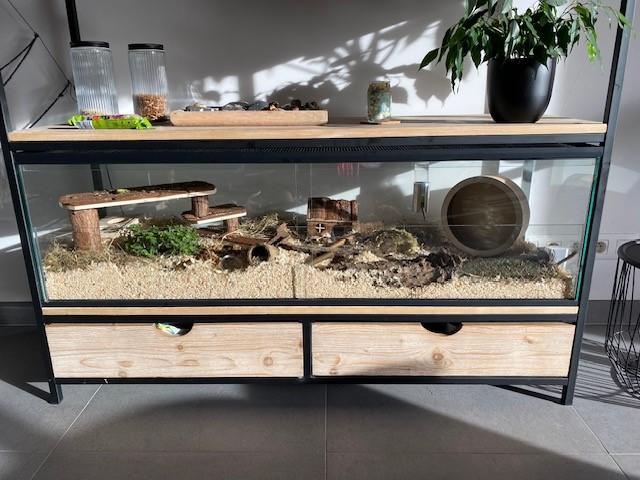 Budget knaagdierkooi met plateaus