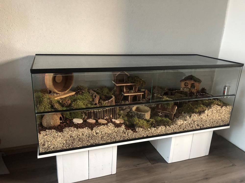 140x50x50 knaagdieren terrarium van glas