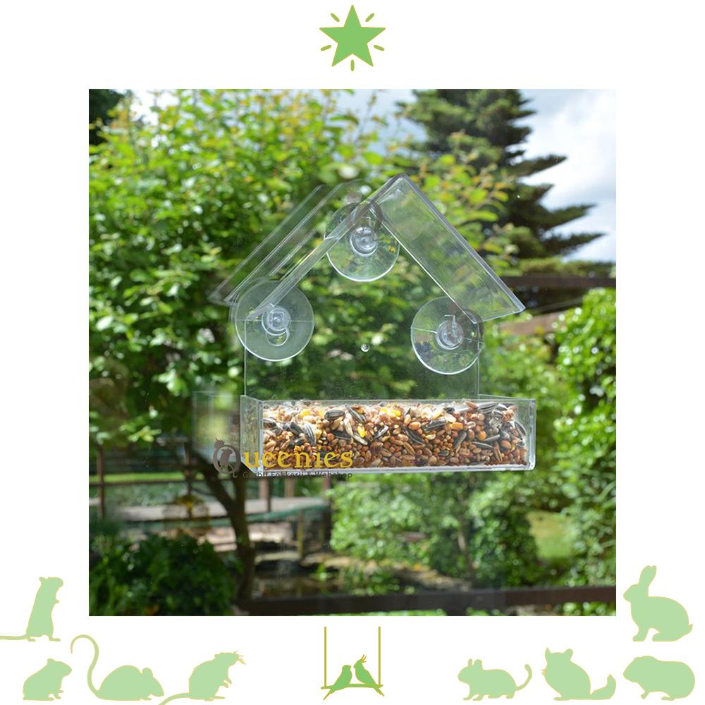 Raamvoederhuis voor Rooibosje