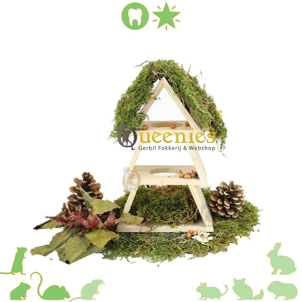 Houten Klauterboom 25 cm – de perfecte speelplek voor Gerbils