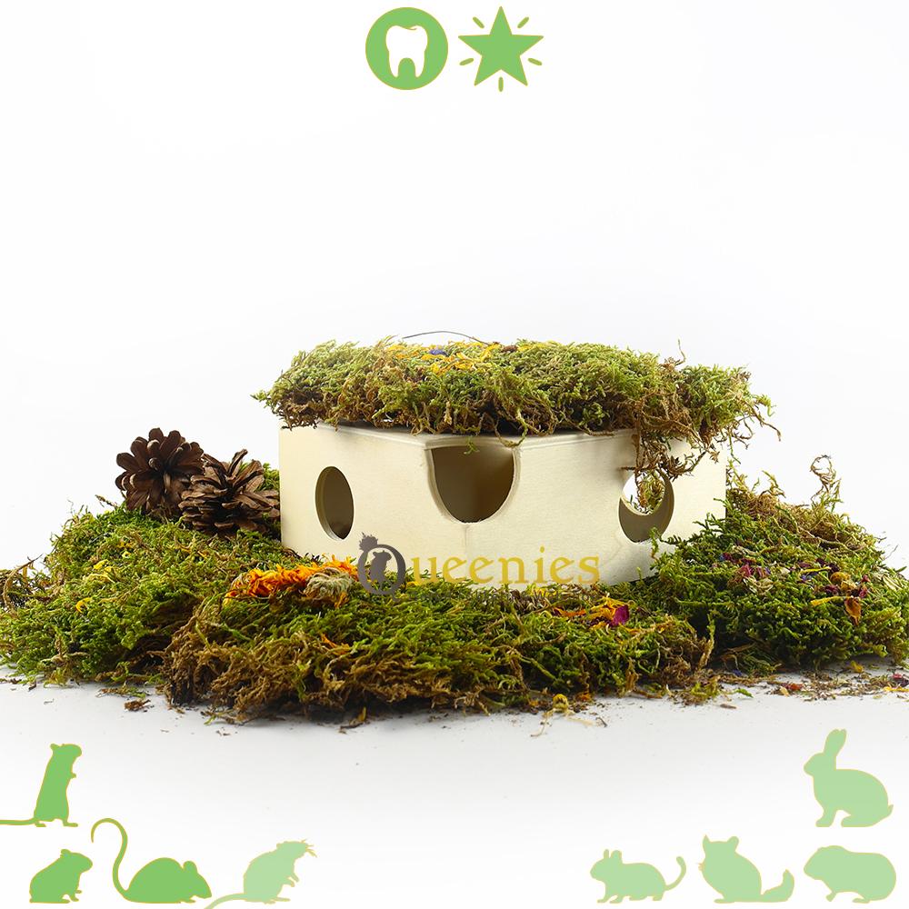 Houten kaashuis voor Gerbils