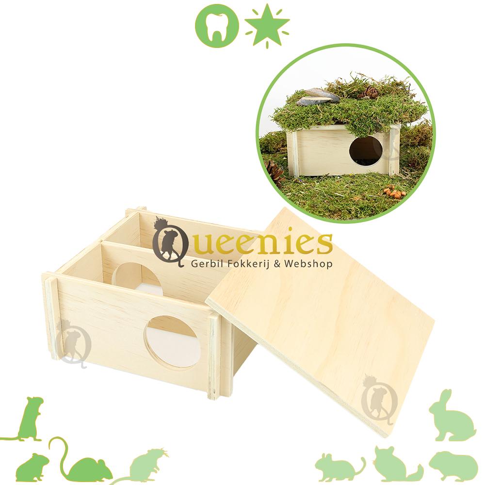 2 kamer huis voor Dwerghamsters in Hamsterscaping