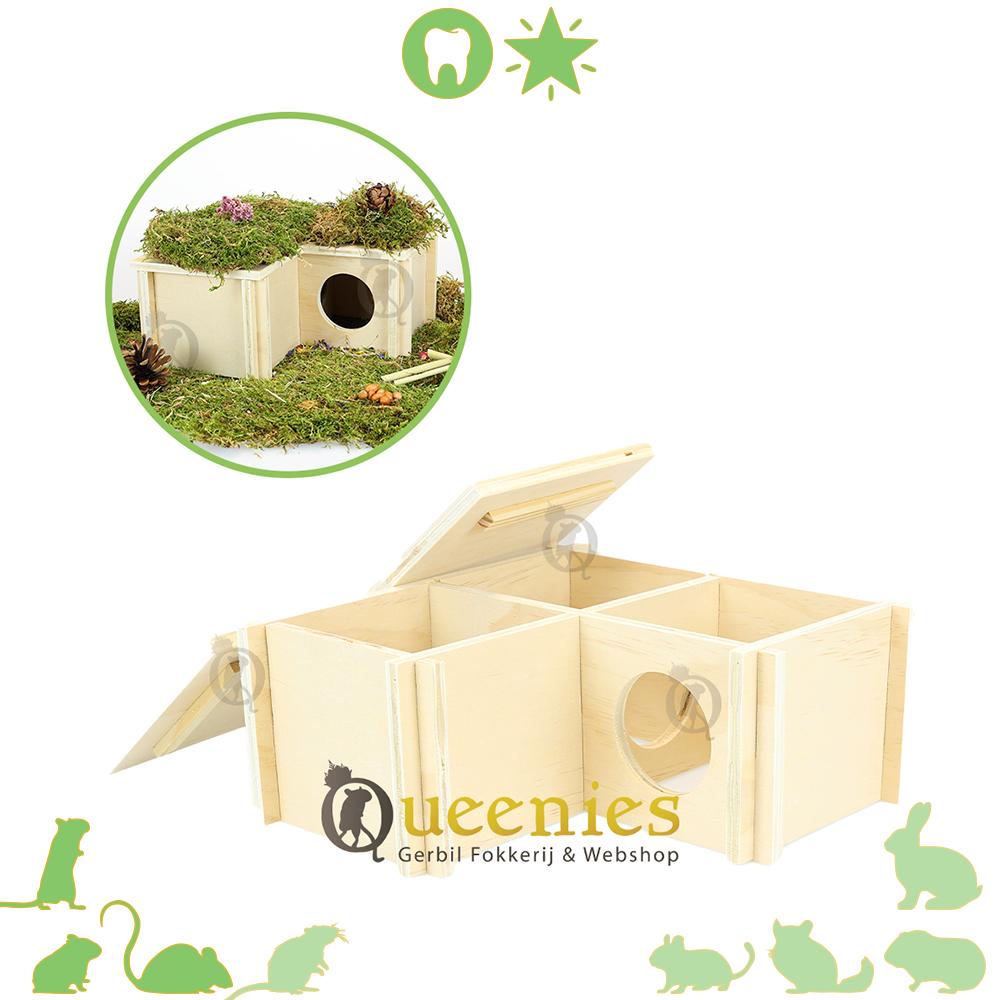 Goudhamster huisje met gedroogd terrarium mos