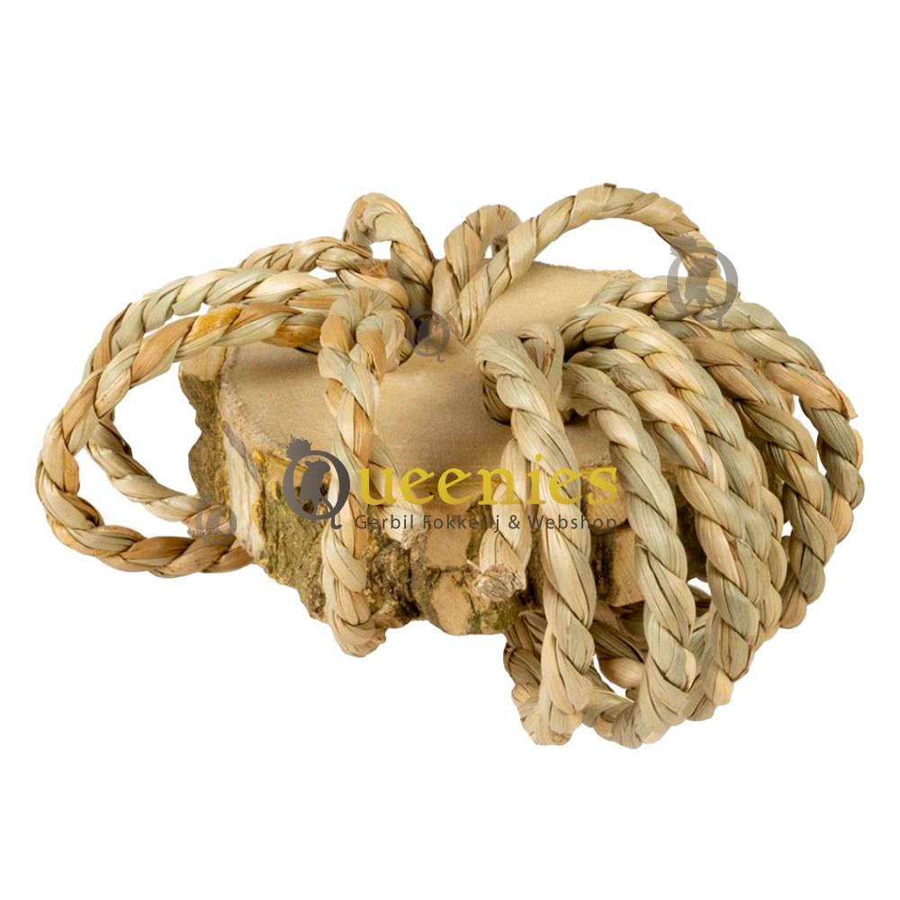 Speelgoed artikelen voor Kleine Knaagdieren en Vogels