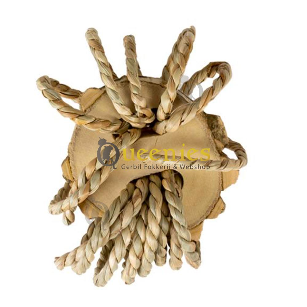 Veilige knaagmaterialen voor Chinchilla's en Degoes