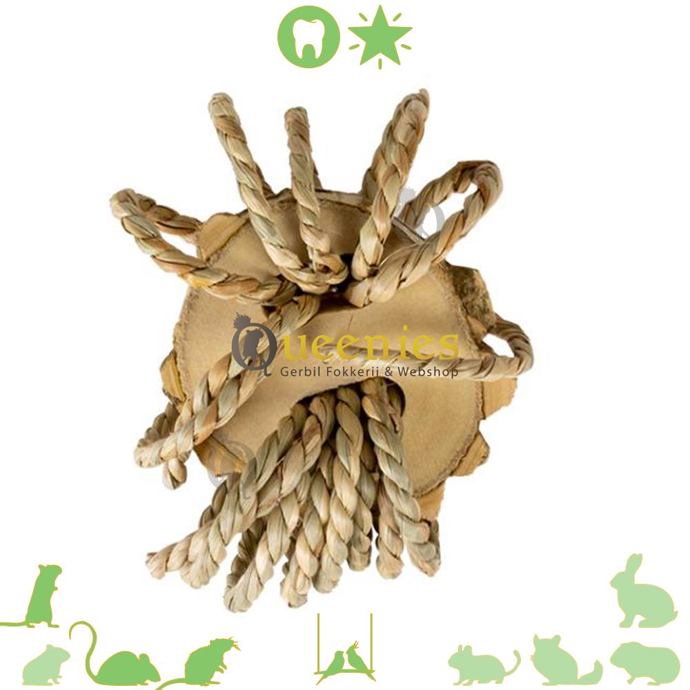 speelgoed accessoires voor knaagdieren en Vogels