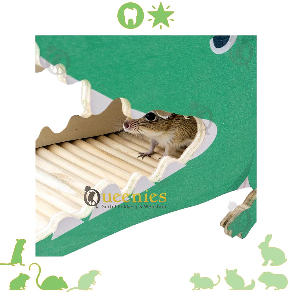 Krokodillen bek voor Knaagdieren