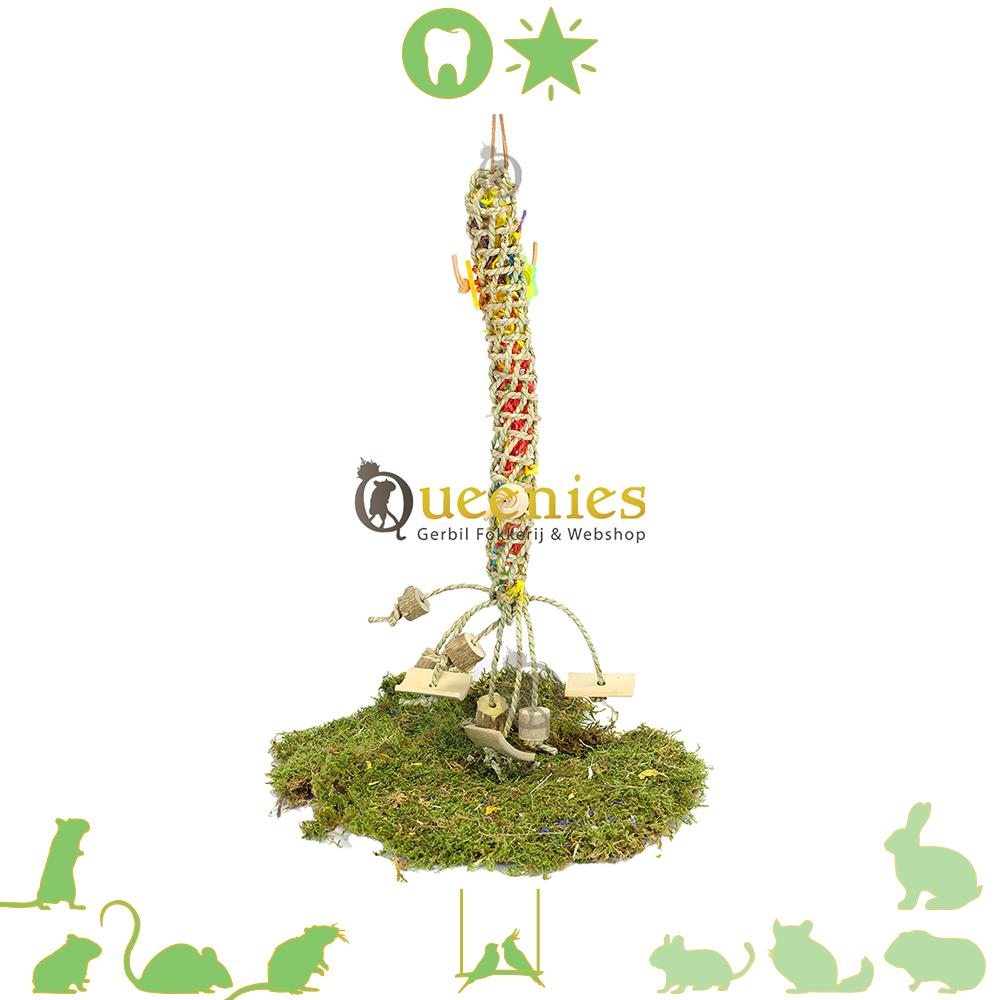 Touwen voor Parkieten en andere vogels