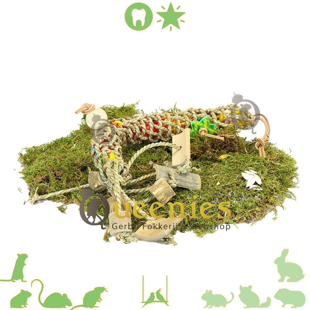 Speelgoed voor Muizen en Gerbils