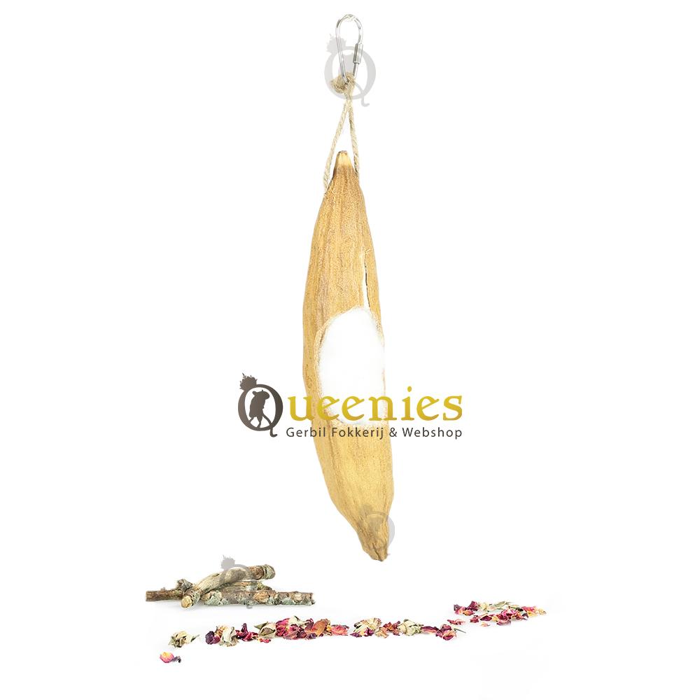 Hangende Kapoknoot voor Muizen