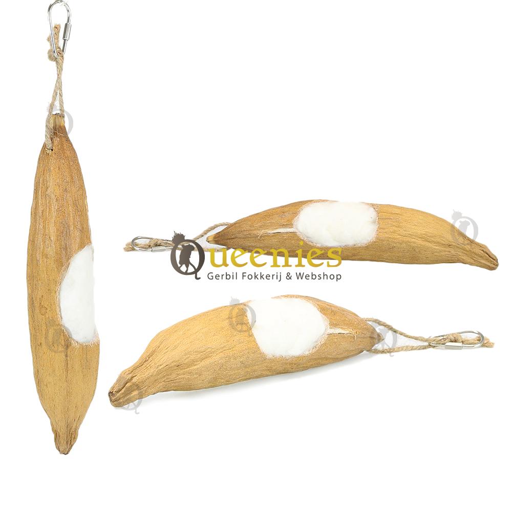 gevulde kapoknoot me kokosvezel