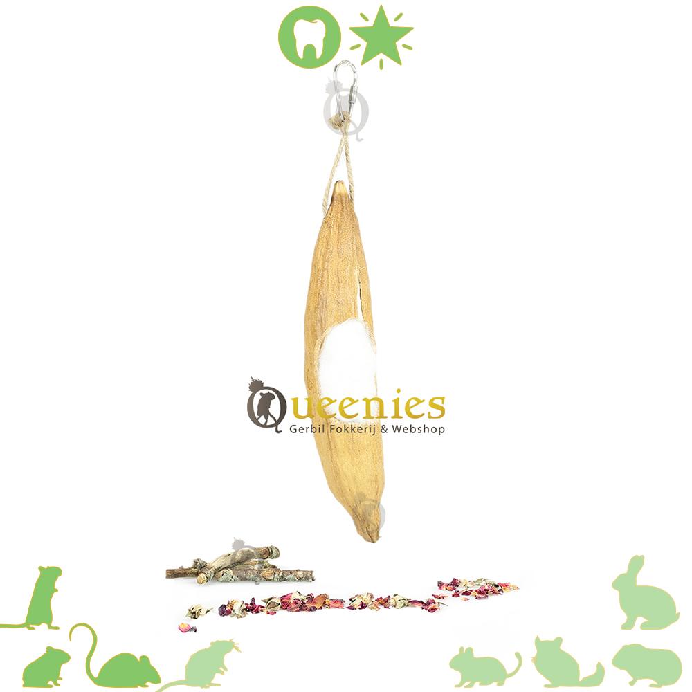 Kapoknoten voor hamsters kopen