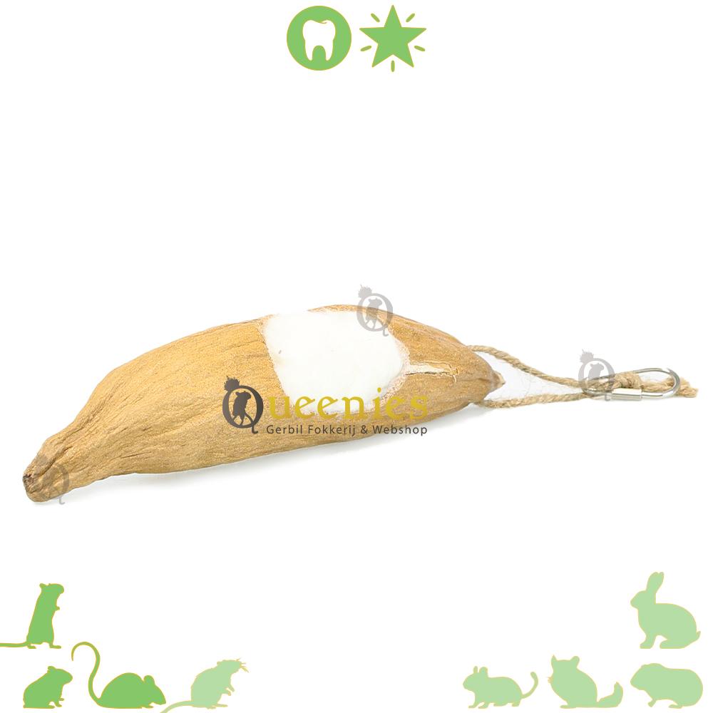 Kapoknoten voor hamster nestmateriaal