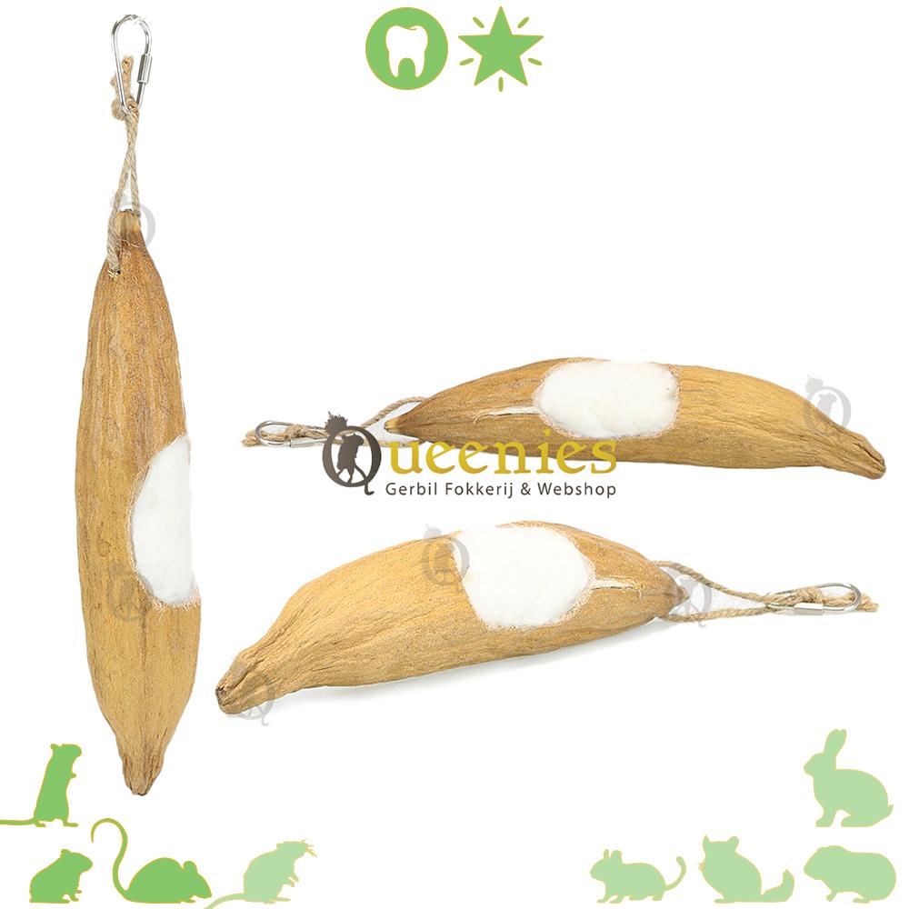 Hangende Kapoknoot speelgoed of nestmateriaal voor Kleine Knaagdieren