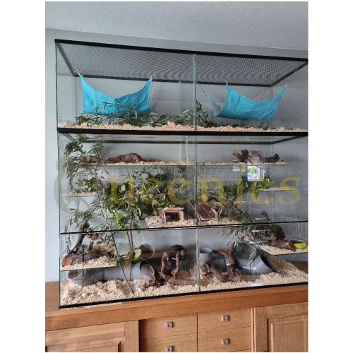 Chinchilla terrarium van glas met schuifruiten 160x50x150