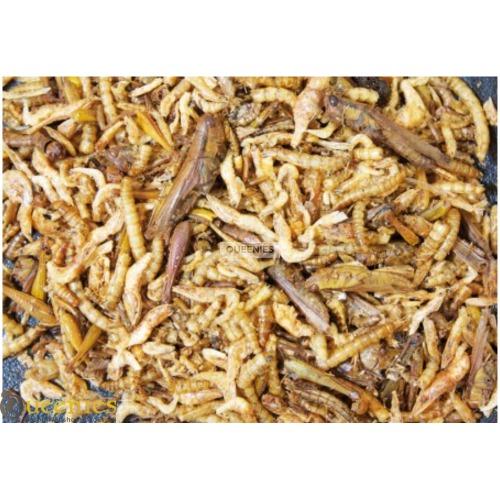 JR Farm Proteine Cocktail 75 gram