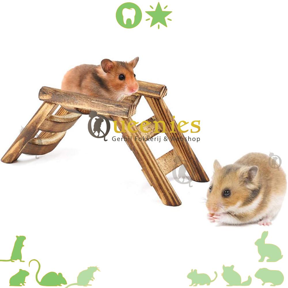 Houten Brugladder - Hamsterscape brug voor Knaagdieren