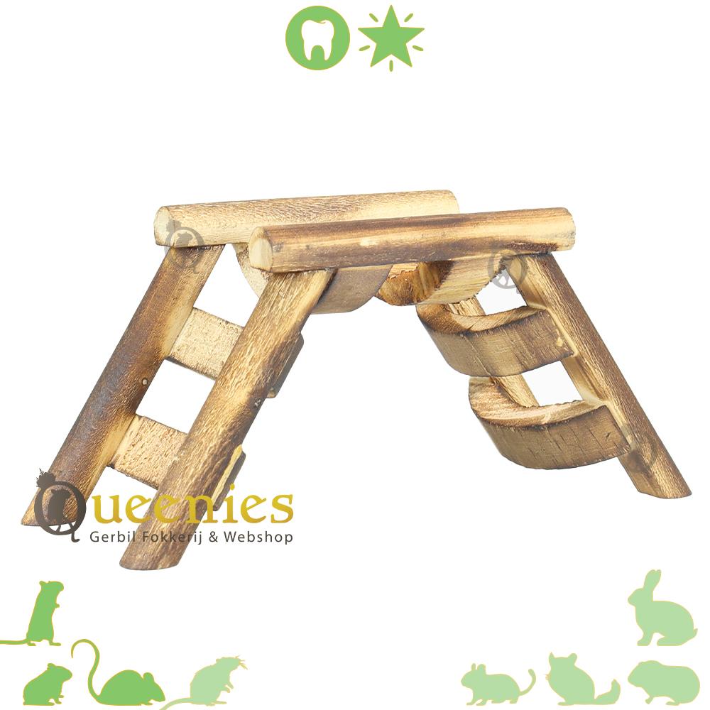 Brug ladder voor Dwerghamsters